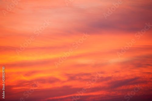 Fototapeta Naklejka Na Ścianę i Meble -  Beautiful summer sunset