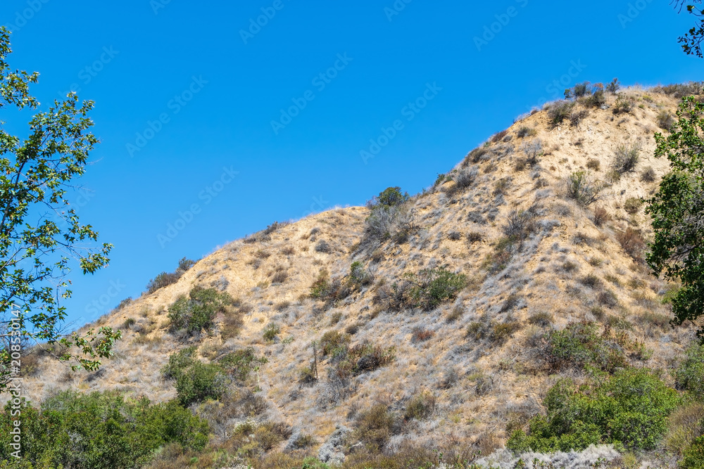 Dry grass and brush cover ridge in Southern California desert mountain area