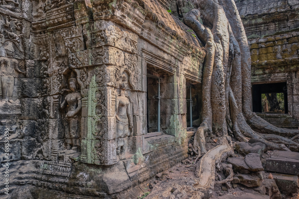 Angkor Temples, Siem Riep, Cambodia - February 12, 2018: Parts of the temple under the roots of large trees in the jungle of Angkor Angkor Temples, Siem Riep, Cambodia - February 12, 2018: Parts of the temple under the roots of large trees in the jungle of Angkor