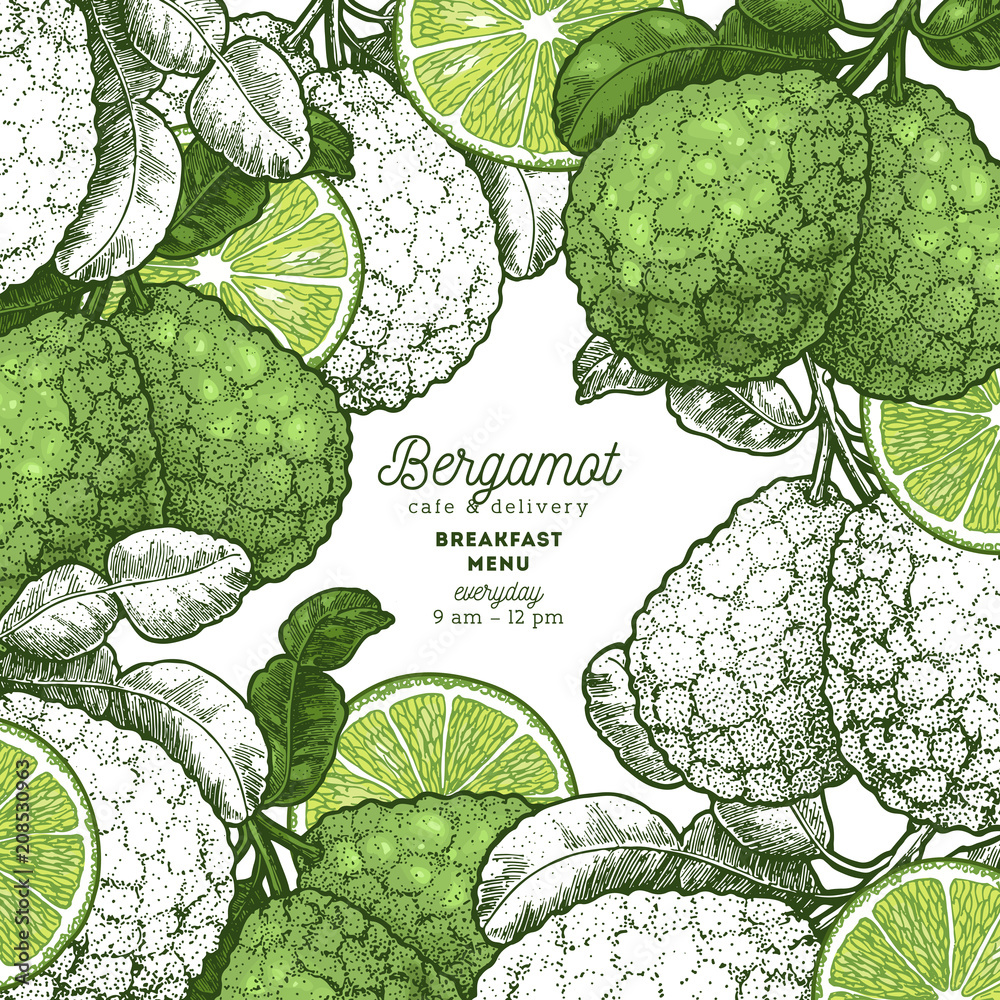 Organic citrus design template. Engraved style illustration. Fresh fruits packaging design. Vector illustration Organic citrus design template. Engraved style illustration. Fresh fruits packaging design. Vector illustration