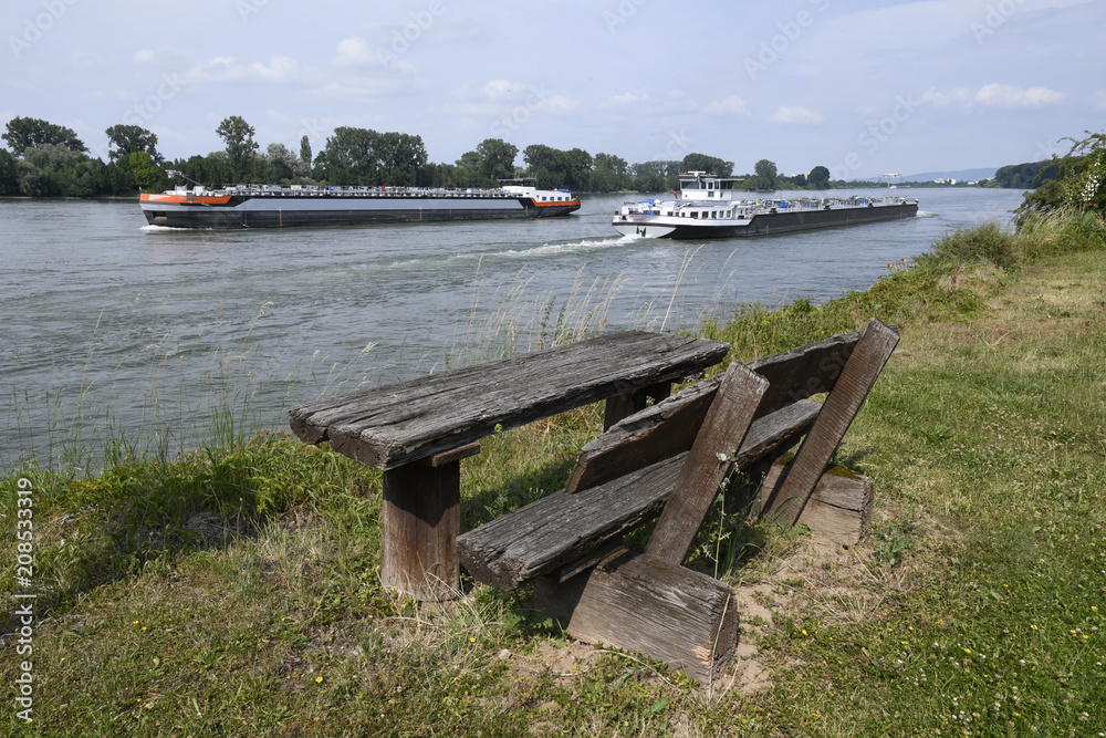 rastplatz am rheinufer bei der wochenendhaussiedlung eicher see