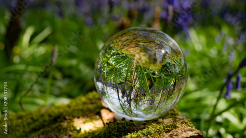 Photo Sphere Crystal Ball Magnifying and Reflecting woodland countryside scene