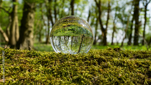 Photo Sphere Crystal Ball Magnifying and Reflecting woodland countryside scene