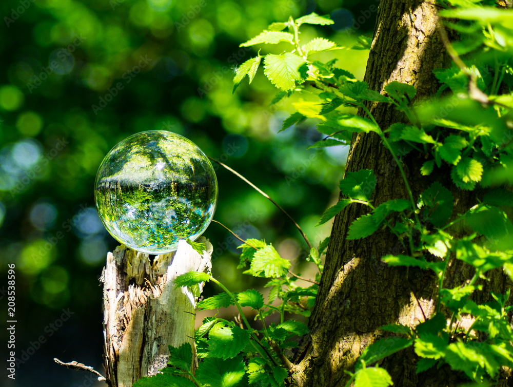 Photo Sphere Crystal Ball Magnifying and Reflecting woodland countryside  scene Stock Photo | Adobe Stock