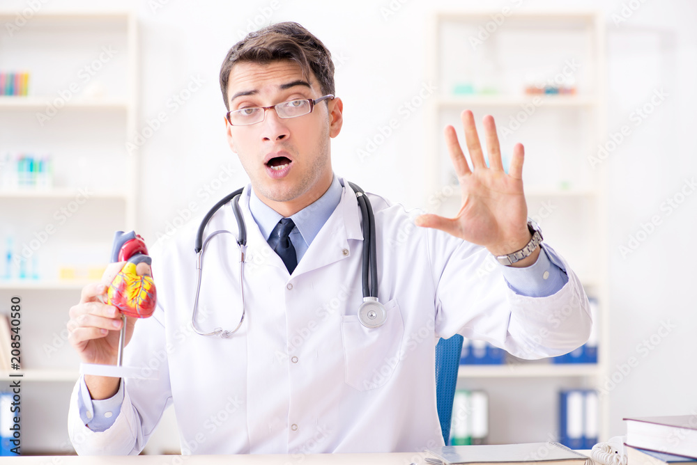 Doctor lecturer explaining the heart model
