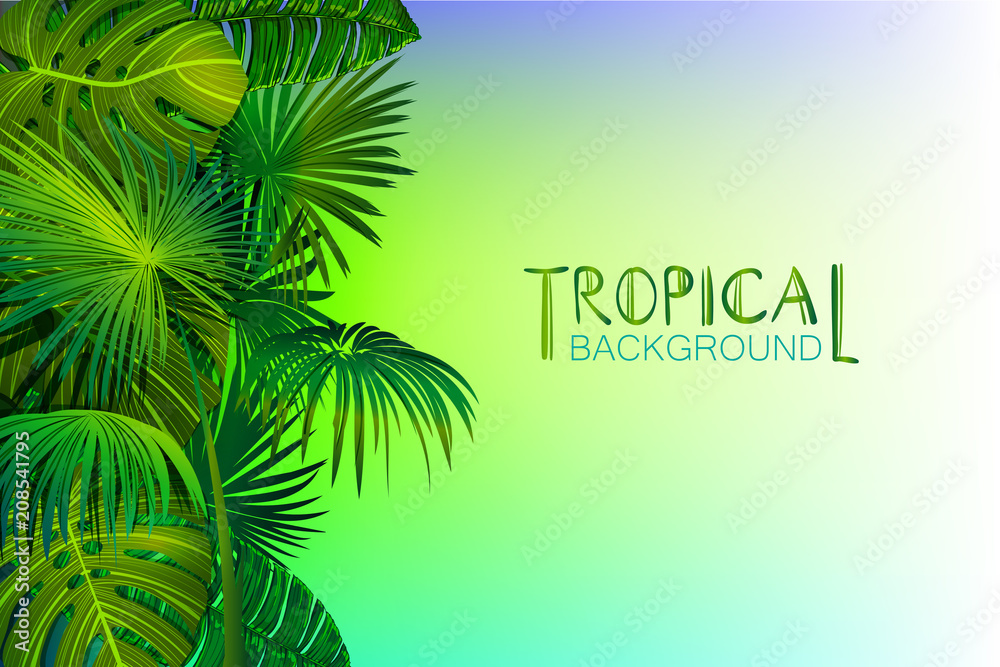 Obraz premium tropical vtctor background