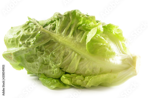 Romain lettuce isolated