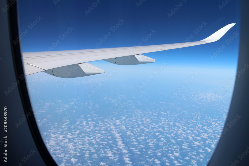 Fliegen Fliegen
