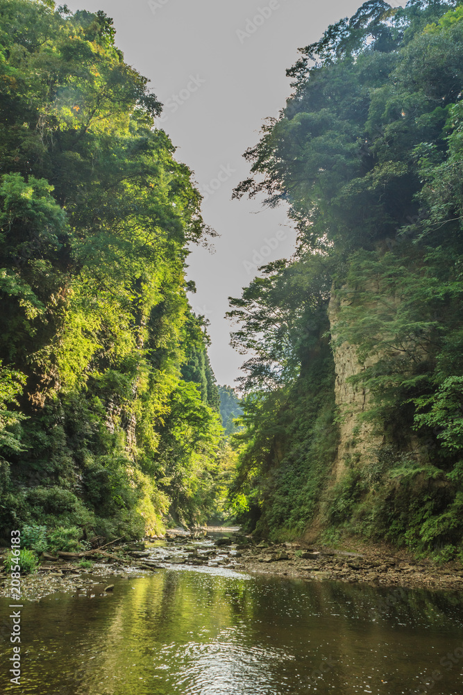 夏の養老渓谷の弘文洞跡の風景