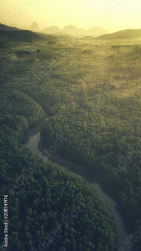 Morning light in tropical forest south of Thailand