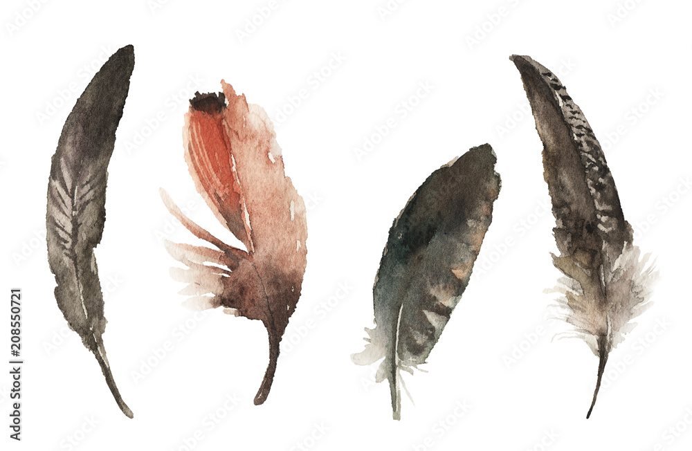 Obraz Watercolor hand drawn feathers illustration - boho style elements