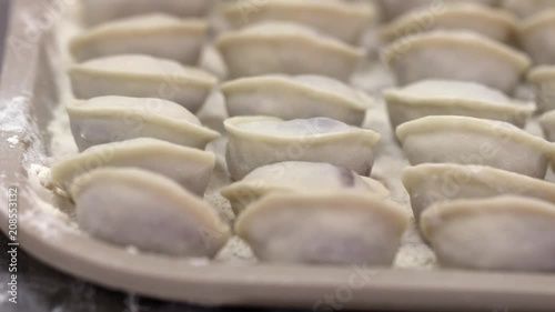 Meat factory process. woman worker packing dumpling on baking tray for placement in refrigerator. Close up photo