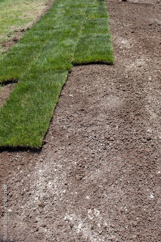 Photo &amp; Art Print Sod on dirt, homank76