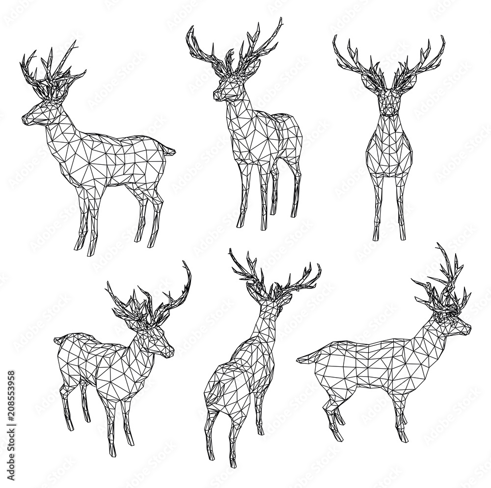 Obraz premium Ilustracja wielokątne linie jelenia. Streszczenie wektor jelenia na białym tle