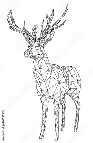 Deer polygonal lines illustration. Abstract vector deer on the white background