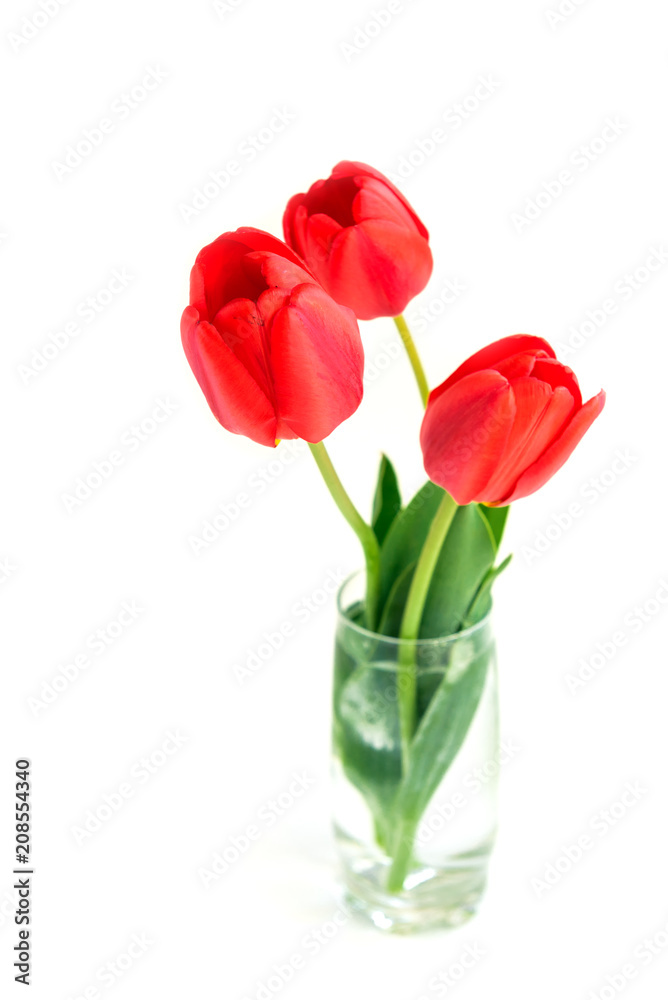 Red tulips in vase isolated on white background. Red tulips in vase isolated on white background.