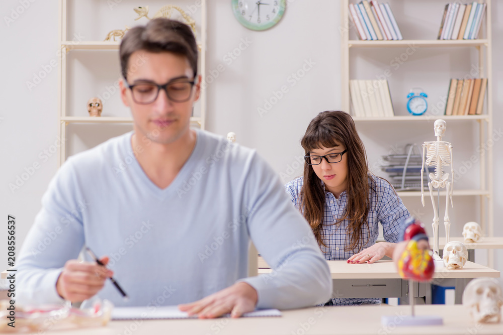 Obraz premium Two medical students studying in classroom