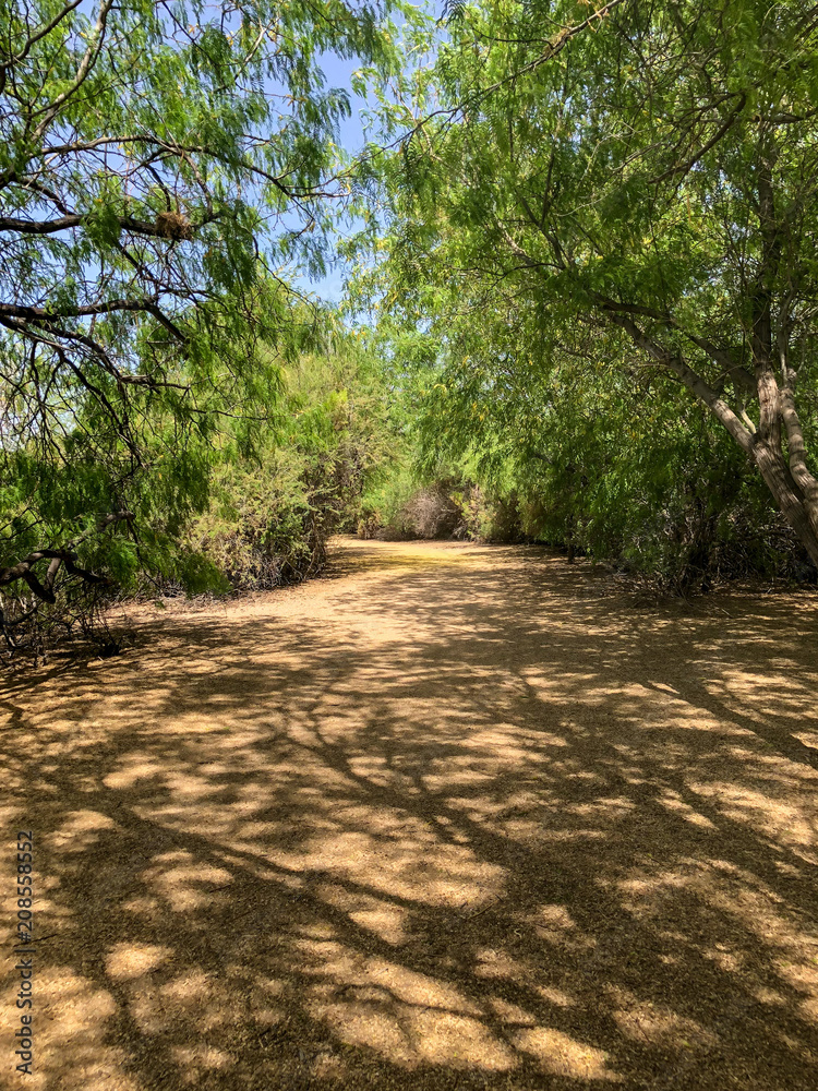 Obraz premium dirt road