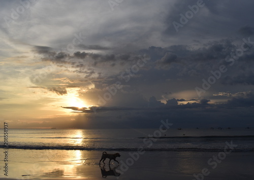 bali sea sunset