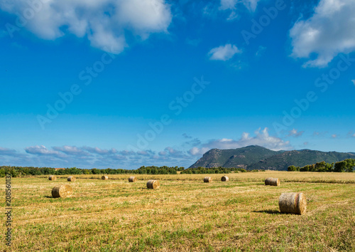 Landscape of field with bales of hay