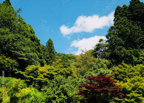 Valley green of Chiba JAPAN