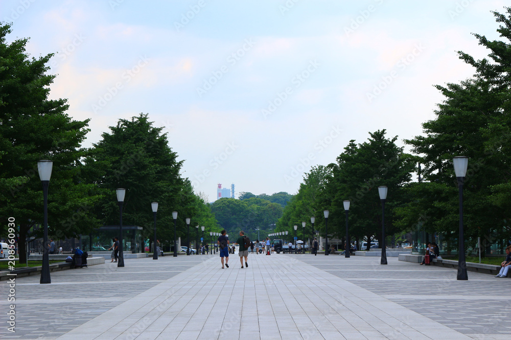 行幸通遊歩道 行幸通遊歩道