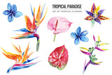 Watercolor tropical floral illustration set with colorful hibiscus & flowers for wedding stationary, greetings, wallpapers, fashion, backgrounds, textures, DIY, wrappers, postcards, logo, etc.
