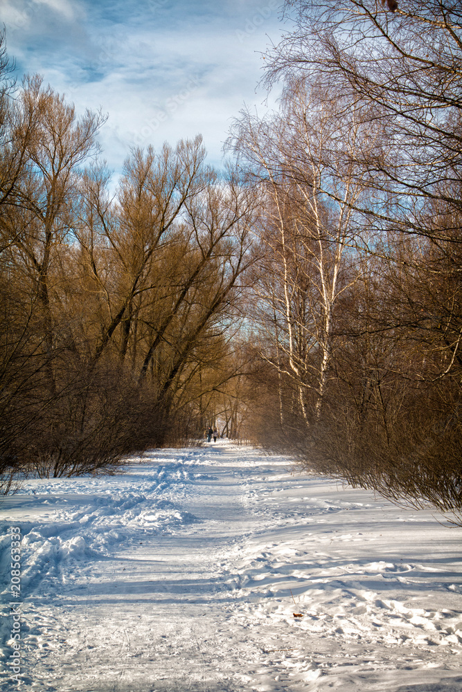 Winter Park Stepanova in the city of Ivanovo Winter Park Stepanova in the city of Ivanovo