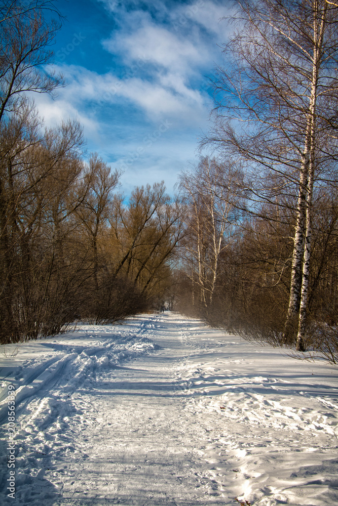 Winter Park Stepanova in the city of Ivanovo Winter Park Stepanova in the city of Ivanovo