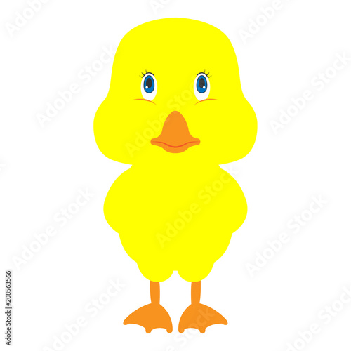 Yellow duckling standing. Vector illustration.