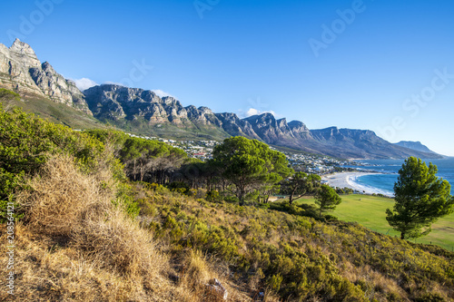 grass, travel, summer, green, rock,Camps Bay, Cape Town, South Afica, Twelve Apostels, mountain, landscape, mountains, nature