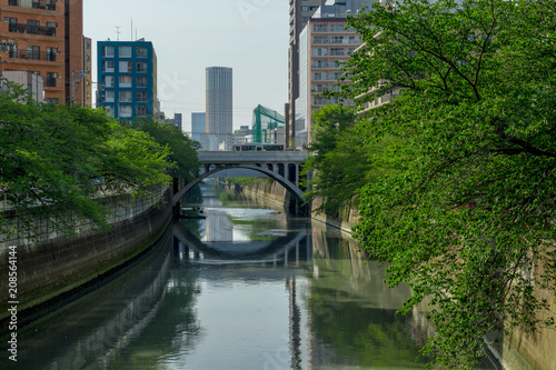 東京 目黒川と春の新緑１