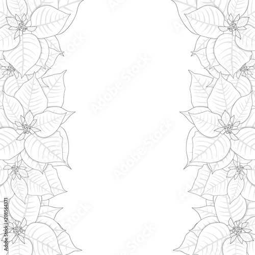 Poinsettia Outline Border i...
