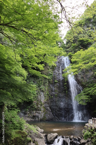 日本 箕面 滝