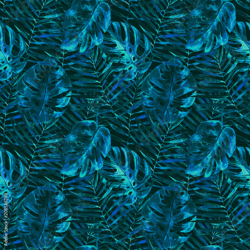 Blue tropical palm   fern leaves on dark background