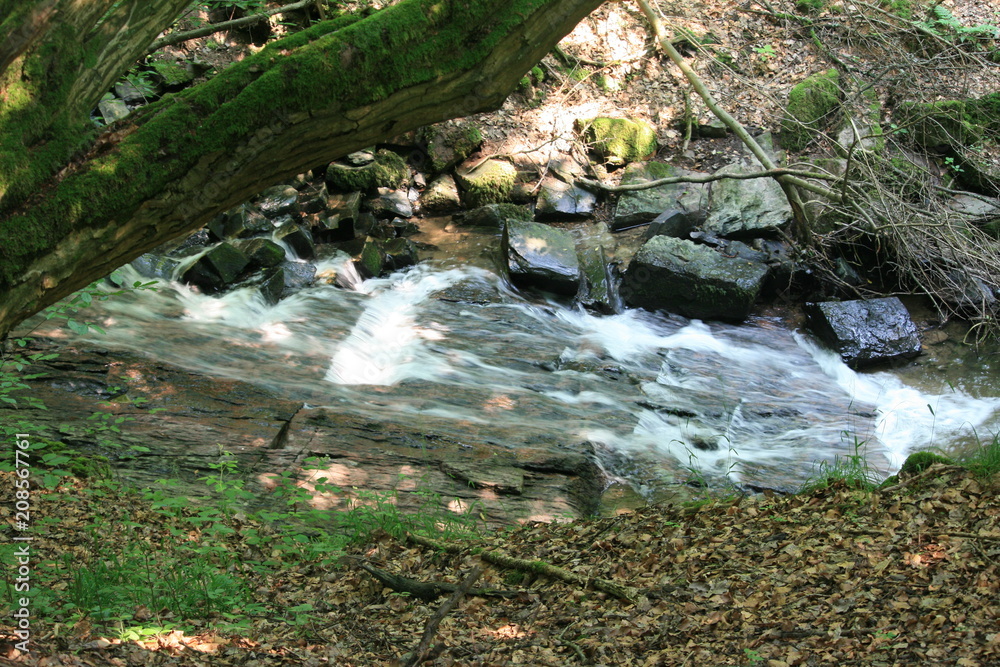 Bach fließt über Felsen im Wald