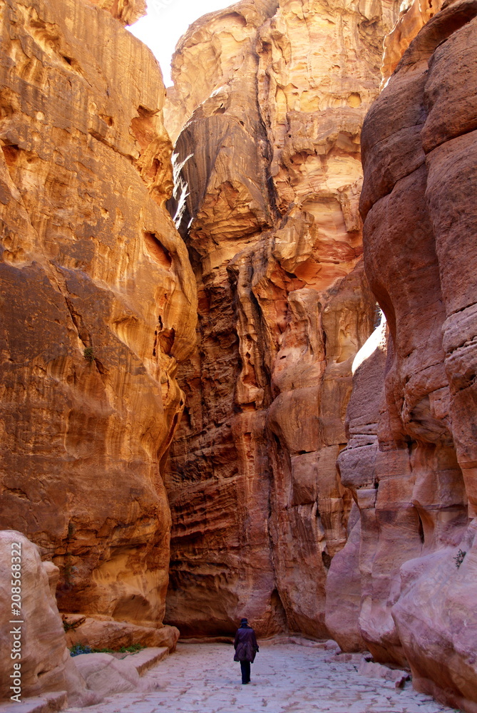 Jordan. The road along the bottom of the canyon leading to the temple of Petra