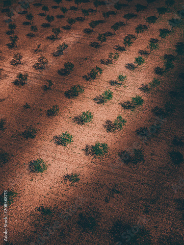 Orangen Acker  von Oben Luftbild Drohne Natur Muster