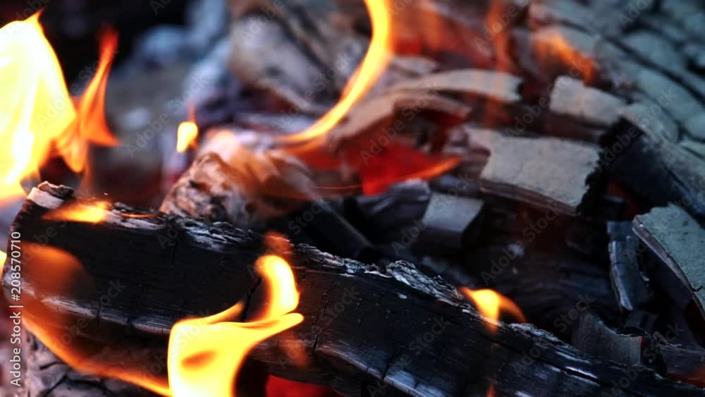 Wood and embers burning in orange flames. Bonfire. Slow motion Wood and embers burning in orange flames. Bonfire. Slow motion