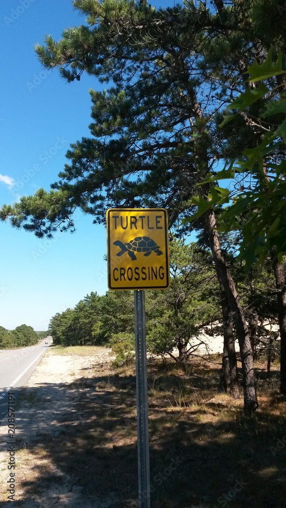 Schild: Turtle Crossing, Achtung: Schildkröten auf Cape Cod, USA Schild: Turtle Crossing, Achtung: Schildkröten auf Cape Cod, USA