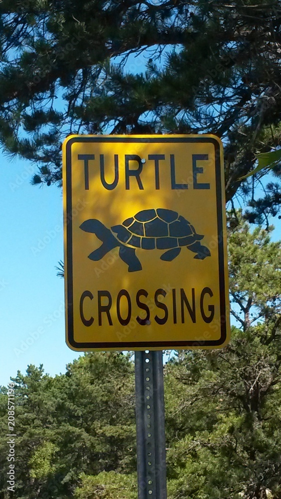 Schild: Turtle Crossing, Achtung: Schildkröten auf Cape Cod, USA