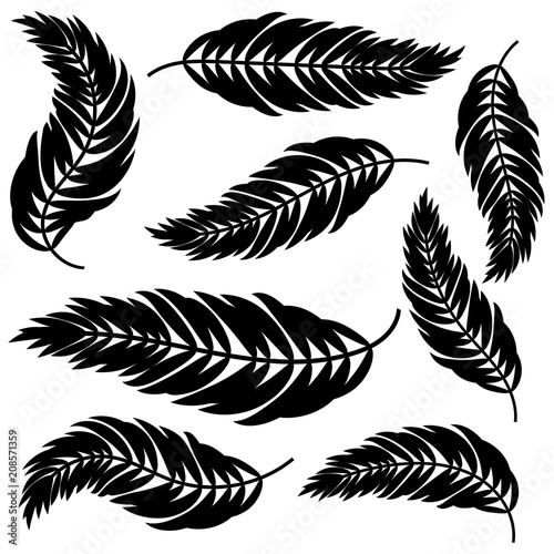 Set flat abstract isolated black leaves curving in different directions