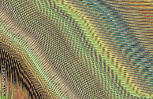 Wallpaper Mural Covers design,colorful gradients,future geometric patterns,modern abstract covers set,shapes and composition Torontodigital.ca