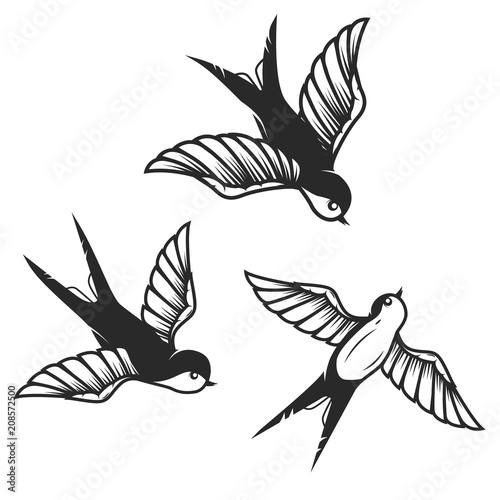 Set of hand drawn swallow illustrations on white background. Design elements for poster, card.