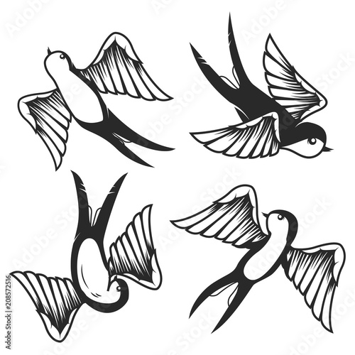 Set of hand drawn swallow illustrations on white background. Design elements for poster, card.