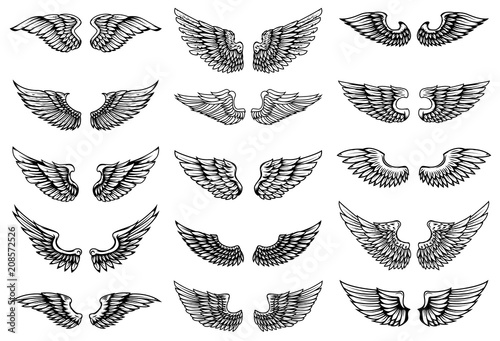 Set of bird wings illustrations in tattoo style. Design element for emblem, sign, logo, label.