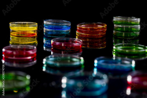 Color liquid in petri dishes isolated reflected on black desk background-Scientific Research Equipment