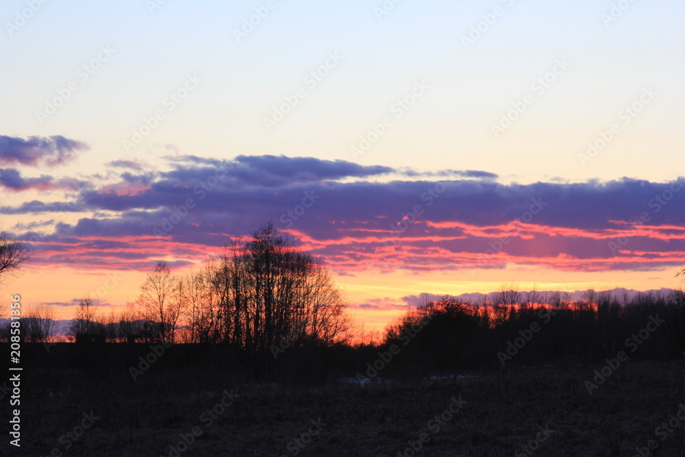 Fototapeta premium sunset sky