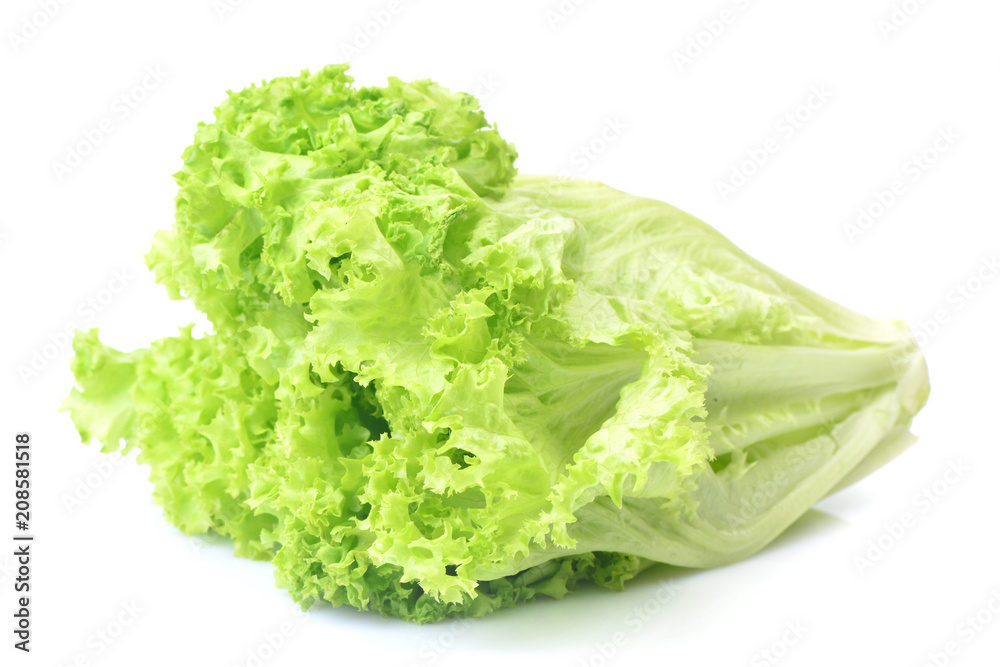 Fresh green lettuce salad leaves Fresh green lettuce salad leaves