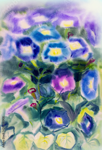 Watercolor landscape original painting  colorful of morning glory flowers